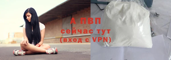 прущие крисы Бежецк