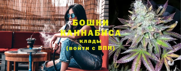 молекула духа Вязьма