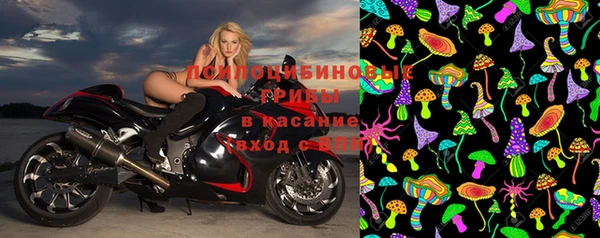 ГАЛЛЮЦИНОГЕННЫЕ ГРИБЫ Белая Калитва