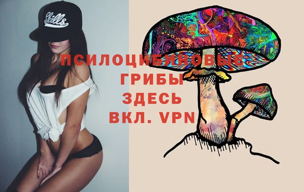 тгк Вязники