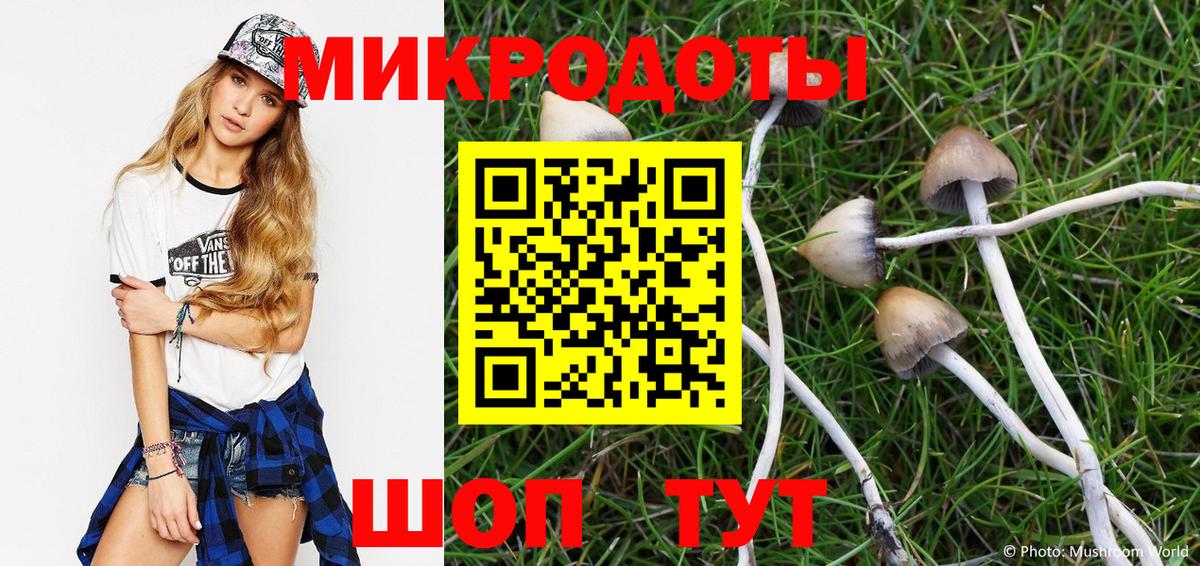 Вязьма  Псилоцибиновые грибы мухоморы  Вход с VPN 