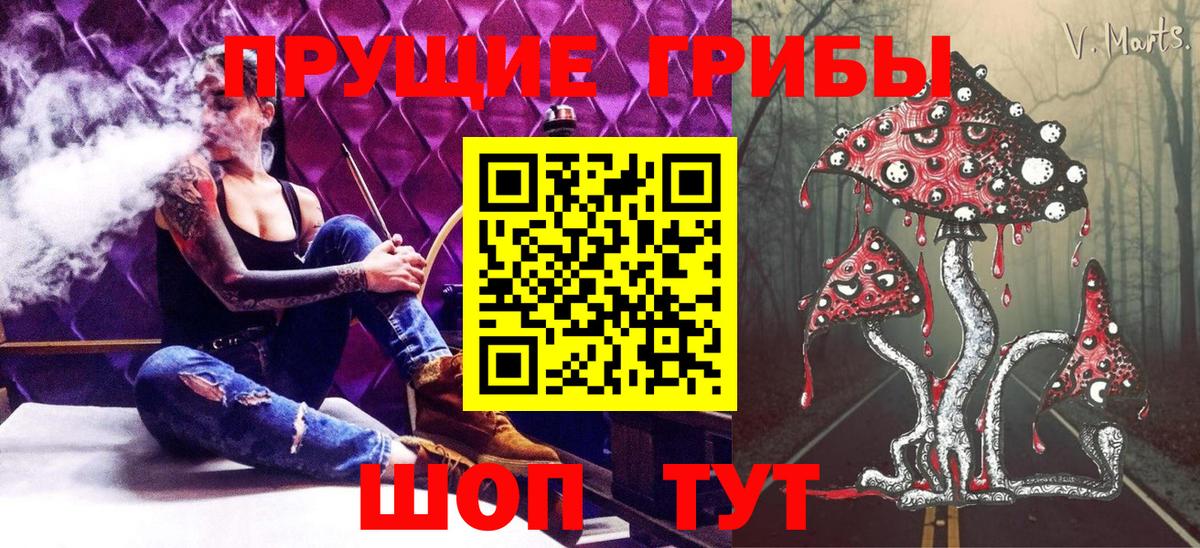 Галлюциногенные грибы Psilocybe  Псилоцибиновые грибы мицелий  Вязьма 